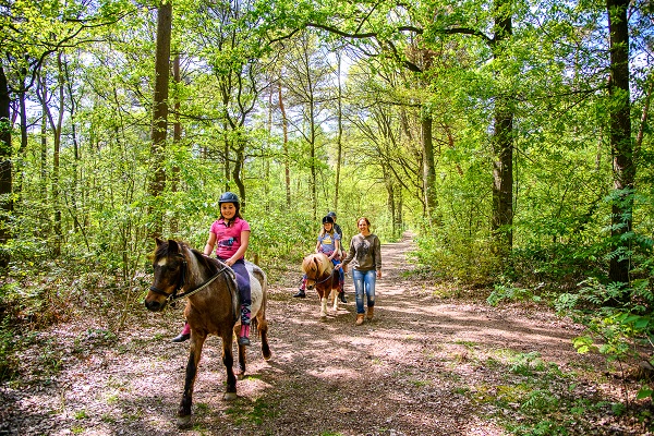 Kinderen rijden onder begeleiding paard door de bossen van natuurgebied het Leudal