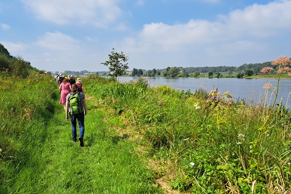 Spaziergänger schlendern über einen schmalen Grasweg entlang der Maas, umgeben von Grün und blühenden Pflanzen, mit einem blauen Himmel im Hintergrund.