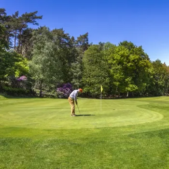 Golfer staat te putten op een groene golfbaan, omringd door bomen en bloeiende struiken onder een heldere blauwe lucht.